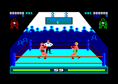 PROFESSIONAL BOXING SIMULATOR